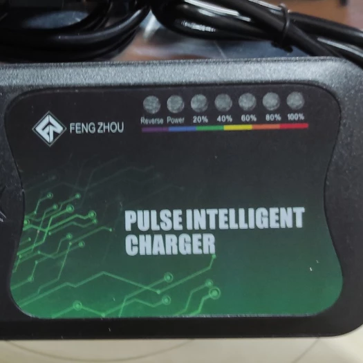 Sạc cho xe tempest 4 bình điện, 4 acquy 48V12A